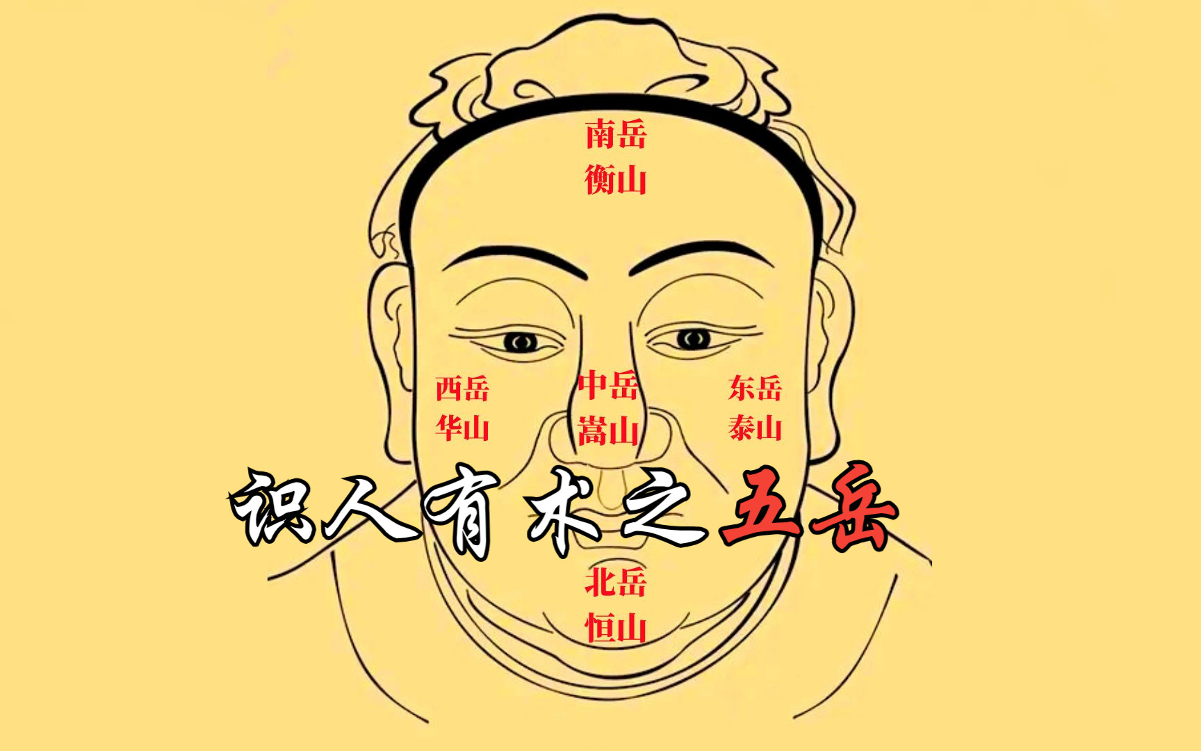 义德天成面相识人术8集