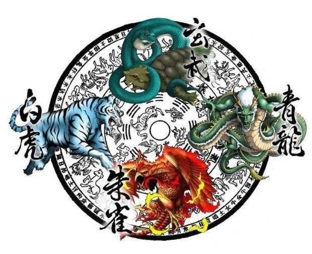 四象风水《八卦四象风水、如何分辨户型坐向》高清彩色版808页