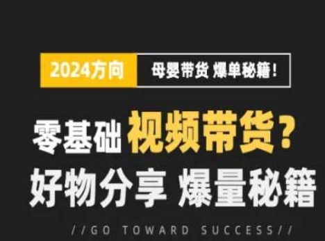短视频母婴赛道实操流量训练营 零基础视频带货 好物分享 爆量秘籍