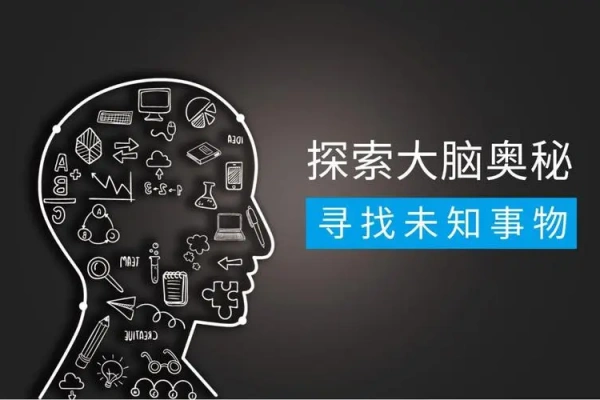 小学生全脑开发系列【PDF】【虚拟资源】