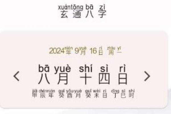 玄通八字  专业的八字算命软件