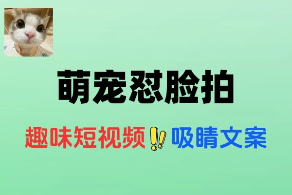 AI萌宠怼脸拍每天十分钟条条爆款视频