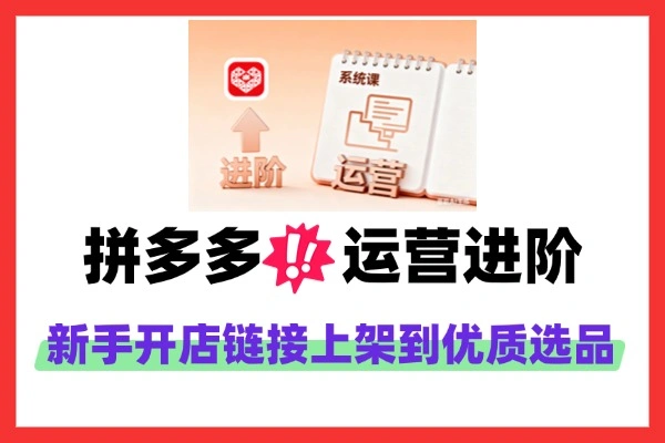 拼多多运营进阶系统课