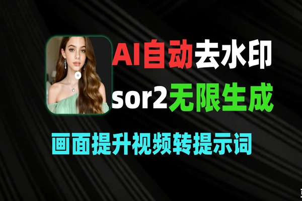 sor2视频AI去水印文字无限生成视频分辨率提升转提示词