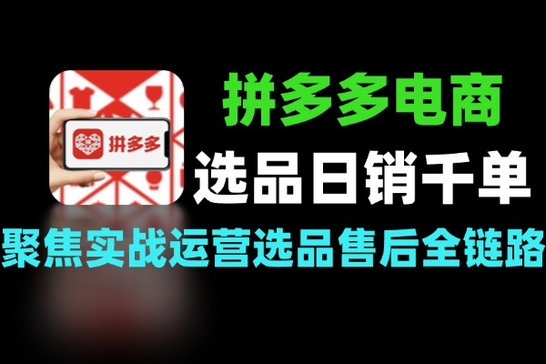 拼多多电商实战从选品上架流量引爆到实现日销千单