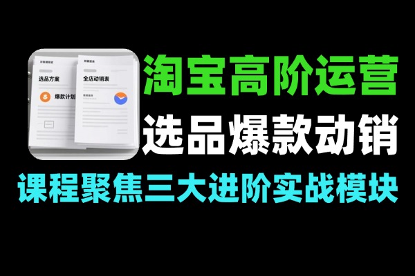 淘宝高阶运营私家课：选品爆款与全店动销实战指南